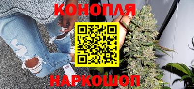PSILOCYBIN Заводоуковск